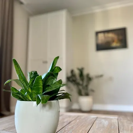 Apartament Royal - Deptak, Parking W Garażu W Cenie! Karpacz