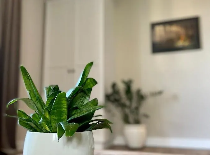 Apartment Royal - Deptak, Parking W Garazu W Cenie! Karpacz